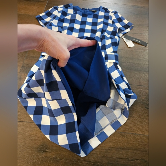 NWT 🔴 Cynthia Steffe Blue and White Checkered Dress - Size 0 - Picture 9 of 16